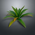 3D Rendered Plant with Broad Green Leaves and Yellow Tips on Gray Background