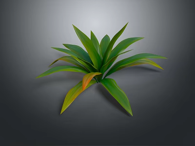3D Rendered Plant with Broad Green Leaves and Yellow Tips on Gray Background 3d model