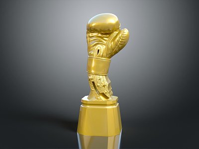 Hyundai Trophy World Cup Boxing Trophy Champion Trophy Gold Cup 3d model