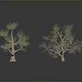 Leafless Trees Against Gray Background With Black Surface And Reflections 3d model