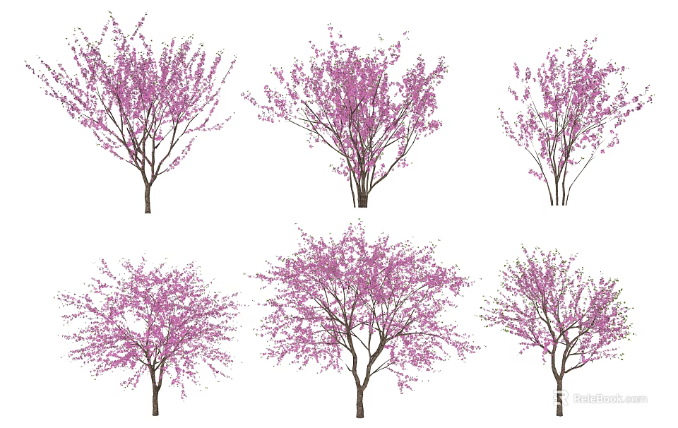 Purple Flowering Arbor Trees With Various Shapes And Lush Purple Blooms 3d model 