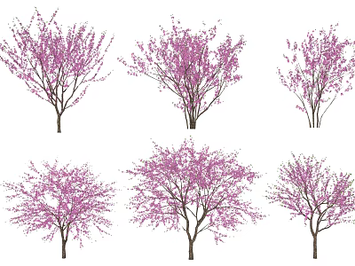 Purple Flowering Arbor Trees With Various Shapes And Lush Purple Blooms 3d model