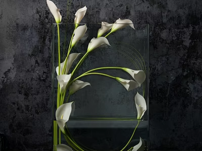 Elegant White Calla Lilies Arrangement In Clear Glass Vase With Dark Textured Background 3d model