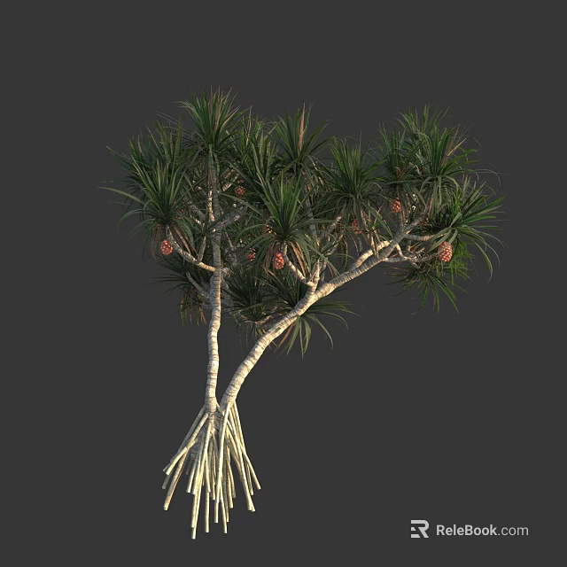 Tropical Tree With Palm Like Green Leaves Red Fruits White Trunks And Exposed Roots 3d model 