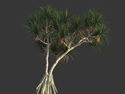 Tropical Tree With Palm Like Green Leaves Red Fruits White Trunks And Exposed Roots 3d model