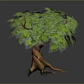 Vibrant Green Leafy Tree With Thick Brown Trunk And Exposed Roots 3d model