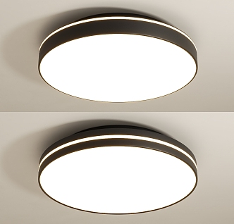 Modern minimalist ceiling lamp 3d model