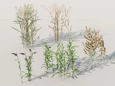 Different Varieties Of Shrubs With Green Foliage Various Heights And Shadows 3d model