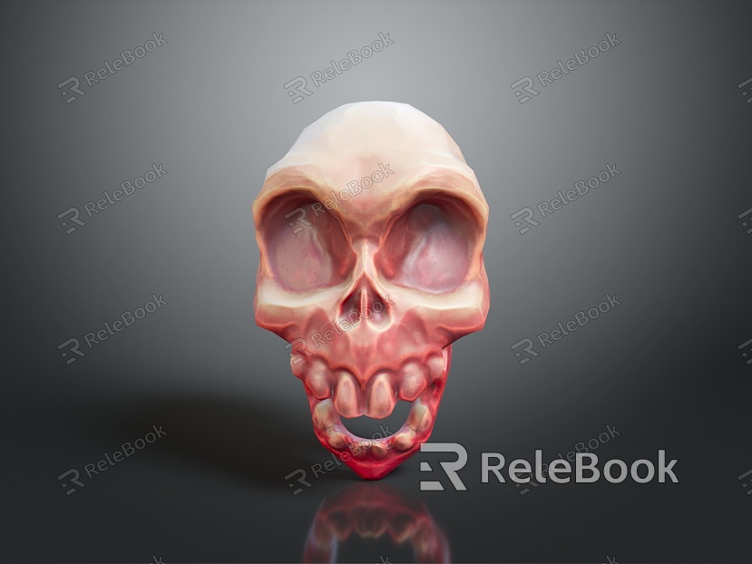 human skull skull skeleton medical medical props model