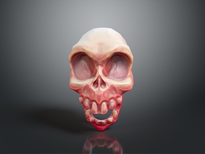 human skull skeleton medical props model