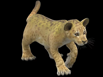 Realistic Baby Lion Cub With Brown Yellow Fur In Standing Posture On Black Background 3d model