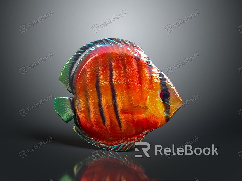 Tropical Fish Colorful Fish Ornamental Fish Aquarium Coral Fish Underwater Fish Color Fish Cartoon Fish Freshwater Fish model