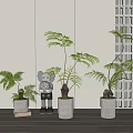 Bonsai Potted Fern Plants In Concrete Pots With Indoor Decorative Elements