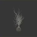 Serene Leafless Trees Landscape Featuring Exposed Roots Gray Gradient Background And Ground Reflections