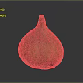 Fresh Ripe Fig with Vibrant Green and Red Stripes Healthy Natural Fruit