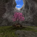 Cave Realistic Cave Tree Peach Tree Cave Geology Geomorphology Cave Grass Stone 3d model