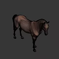 Brown Horse Game Character With Black Mane Tail Muscular Build 3D Rendered