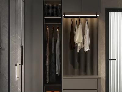 Modern Minimalist Wardrobe Interior With Hanging Clothes Drawers And Storage Design 3d model