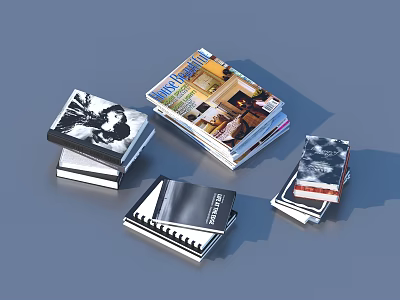 Stack of Various Books and Magazines with Different Covers on Gray Background 3d model