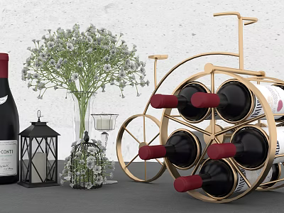 Decorative Ornament Combination With Golden Bicycle Wine Rack Glass Vase Black Lantern And Metal Birdcage 3d model