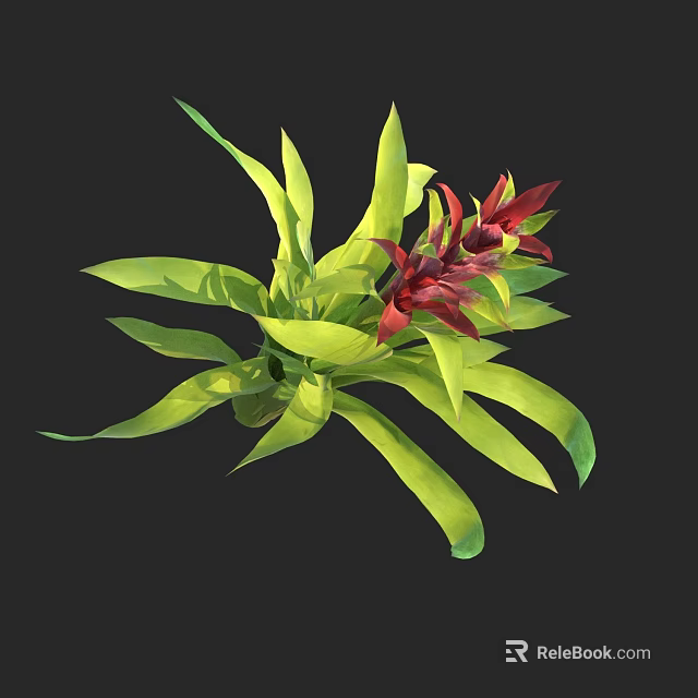 Vibrant Tropical Plant With Green Leaves And Red Flowers For Home Decor 3d model 