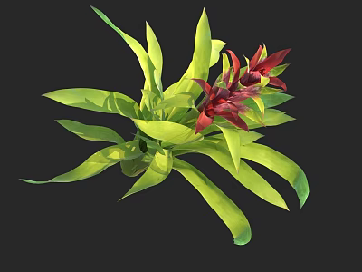 Vibrant Tropical Plant With Green Leaves And Red Flowers For Home Decor 3d model