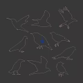 White Silhouettes of Various Flying Animals Showcasing Different Bird Species on Dark Background