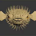Yellow Puffer Fish With Sharp Spikes And Orange Eye On Gray Background