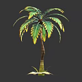 Palm Plant With Green And Yellow Leaves And Brown Trunk On Dark Background