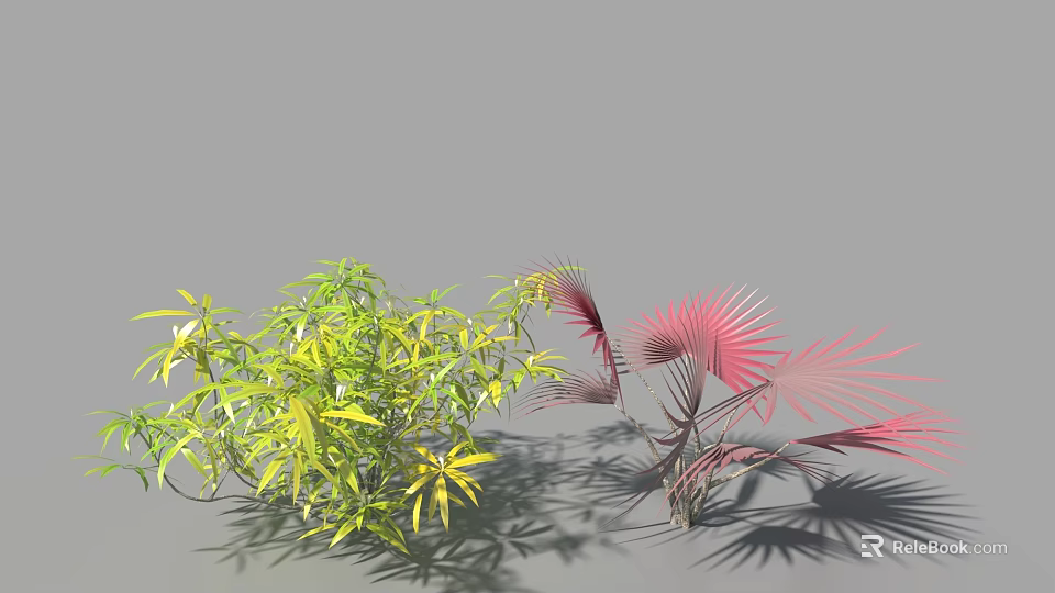 Green And Red Arbor Trees With Slender Leaves And Fan Shaped Red Foliage 3d model 