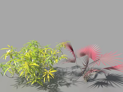Green And Red Arbor Trees With Slender Leaves And Fan Shaped Red Foliage 3d model
