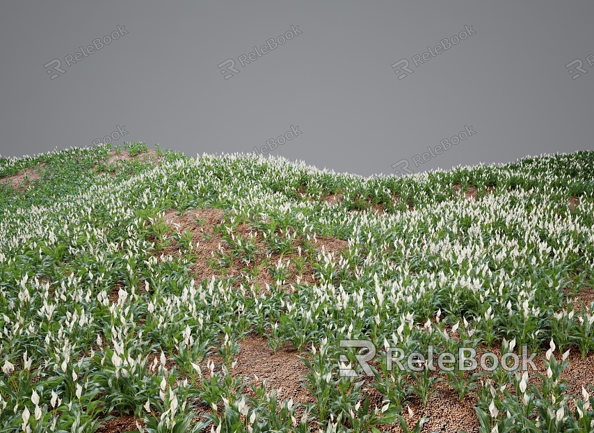 Modern Grassland Shrubs Grass Green Plant Shrubs model