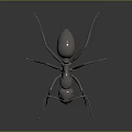 Realistic Metallic Ant With Detailed Legs And Reflection On Dark Background