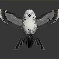 White Bird Spreading Wings With White And Gray Feathers On Dark Background