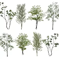 Various Arbor Trees With Different Green Foliage And Trunk Shapes 3d model