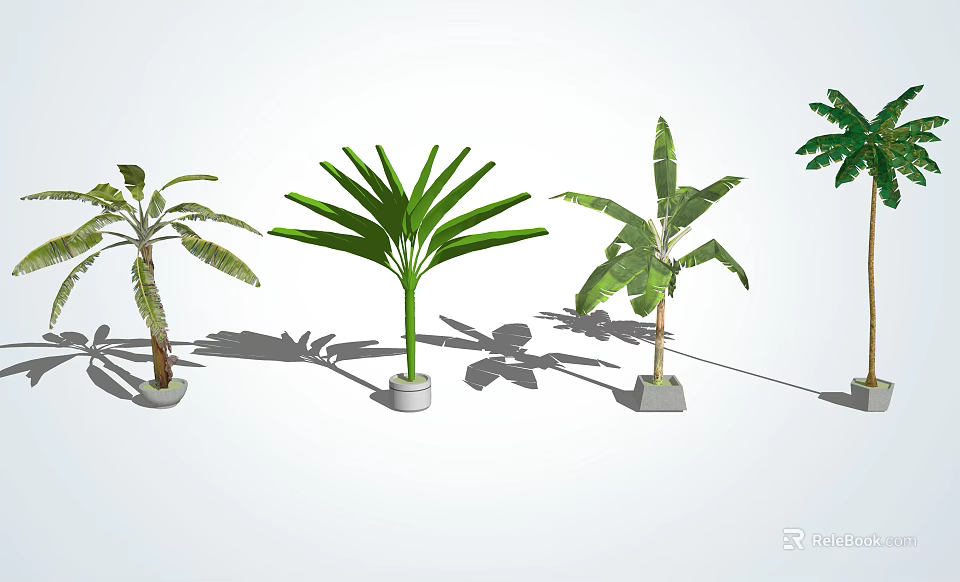 Different Types of Potted Arbor Trees With Various Leaf Shapes And Shadows 3d model 
