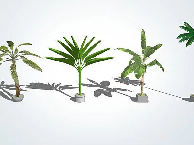 Different Types of Potted Arbor Trees With Various Leaf Shapes And Shadows 3d model