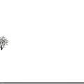 Tall Leafless Arbor Tree With Black Background And Height Measurement Scale