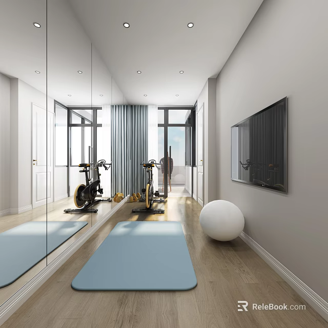 Modern Entertainment Room Interior With Exercise Bikes Yoga Mat And TV Mirror 3d model 
