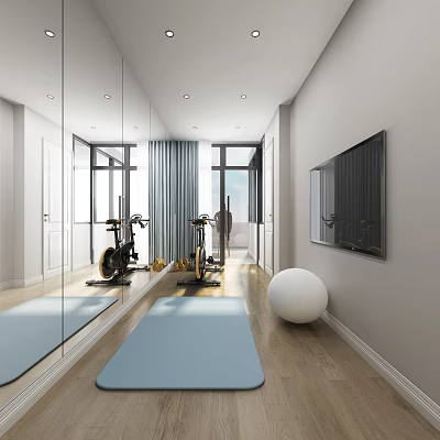 Modern Entertainment Room Interior With Exercise Bikes Yoga Mat And TV Mirror 3d model