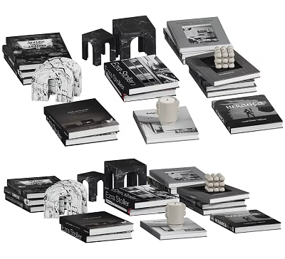 Stylish Books Magazines Display With Decorative Items 3d model