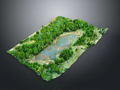 Aerial View Of Lush Green Forest With Serene Lake In Natural Scenic Landscape 3d model