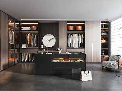 Modern Walk in Closet Design With Hanging Clothes Storage Baskets Central Counter Mirror Bags Shoes 3d model