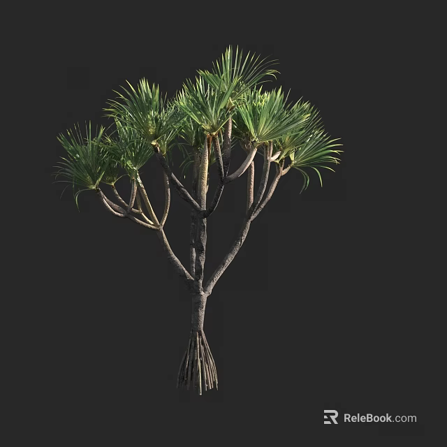 Arbor with Lush Green Palm Like Leaves and Strong Trunk Structure 3d model 