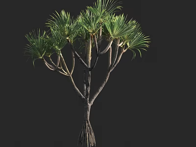 Arbor with Lush Green Palm Like Leaves and Strong Trunk Structure 3d model