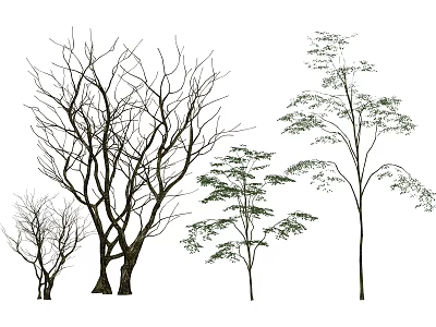 Various Trees With Leafy Branches And Leafless Trunks In Natural Forms 3d model