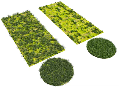 Different Ground Cover Varieties with Rectangular and Circular Shapes Lush Green Foliage for Garden Design 3d model