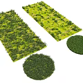 Different Ground Cover Varieties with Rectangular and Circular Shapes Lush Green Foliage for Garden Design