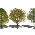 modern tree landscape tree arbor 3d model