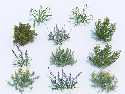 Various Types Of Garden Shrubs Featuring Lavender Yellow Flowers And Green Foliage 3d model